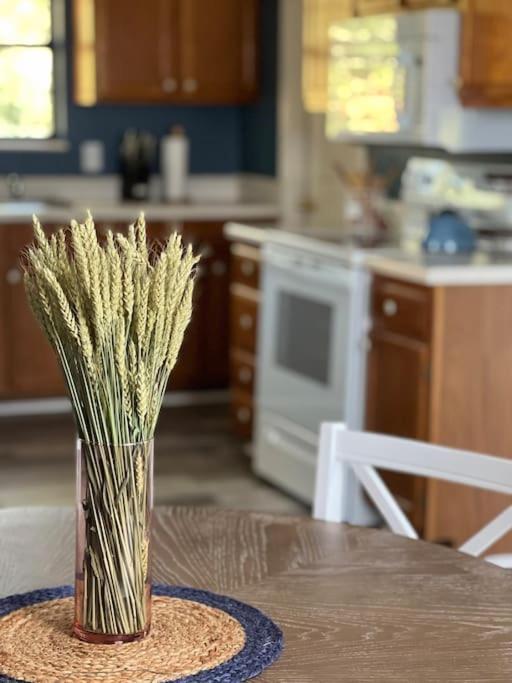 Charming House In Sevierville Family Friendly Quiet Location Close To Wilderness 외부 사진